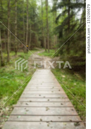 High angle view of empty boardwalk at park High angle view of empty boardwalk at park 133286679