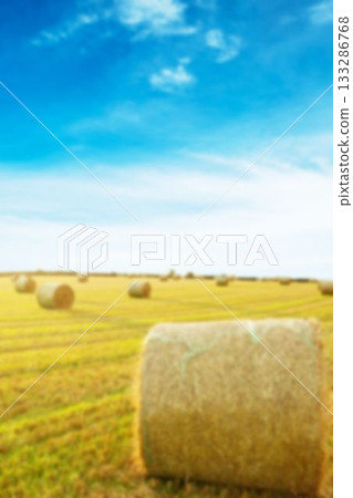 Hay bales on field against sky 133286768