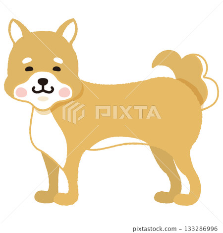 Brown Shiba Inu (sideways) Brown Shiba Inu (sideways) 133286996
