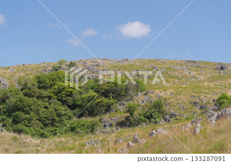Akiyoshidai with dead grass in the spring of 2025 Akiyoshidai with dead grass in the spring of 2025 133287091