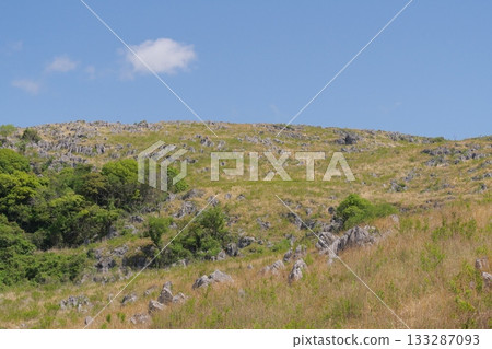 Akiyoshidai with dead grass in the spring of 2025 Akiyoshidai with dead grass in the spring of 2025 133287093