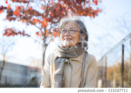 A calm everyday scene of a gray-haired senior woman walking along a road lined with autumn leaves. Image of outings, travel, sightseeing, and shopping. 133287711