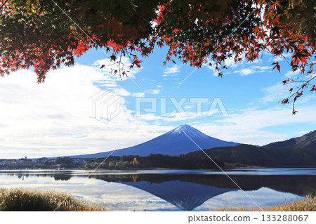 Fuji and autumn leaves Fuji and autumn leaves 133288067