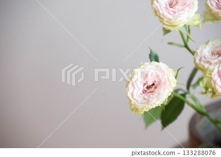 Strawberry Millefeuille Strawberry Millefeuille 133288076