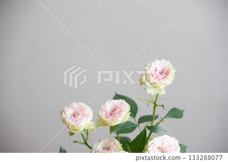 Strawberry Millefeuille Strawberry Millefeuille 133288077