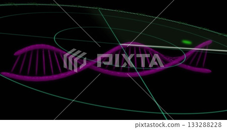 Displaying neon purple DNA helix spinning in digital interface, with green arcs and grid lines 133288228