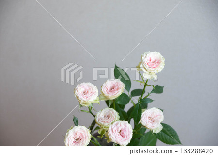 Strawberry Millefeuille Strawberry Millefeuille 133288420