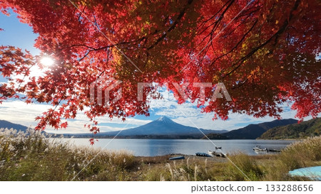 Fuji and autumn leaves 133288656