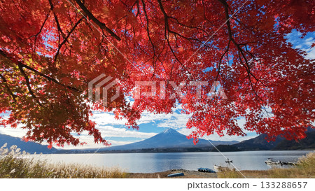 Fuji and autumn leaves 133288657