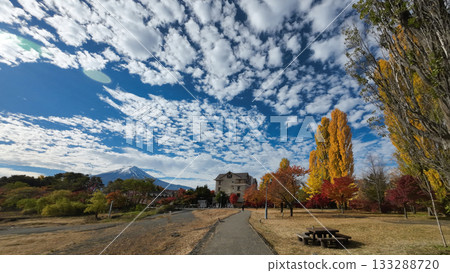 Fuji and autumn leaves 133288720