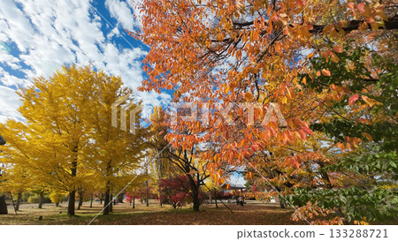 Oike Park Autumn leaves 133288721