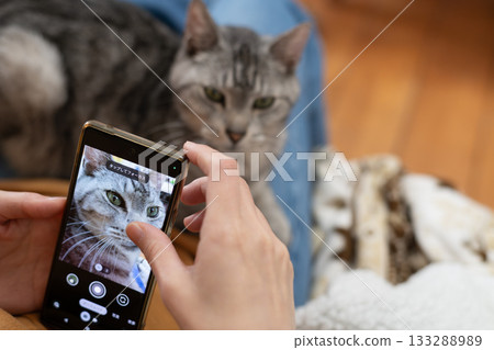 主人正在為他的可愛貓咪拍照 主人正在為他的可愛貓咪拍照 133288989