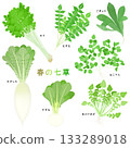 Illustration of the seven herbs of spring 133289018