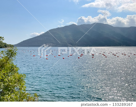 Oyster Farm in Kotor Bay 133289167