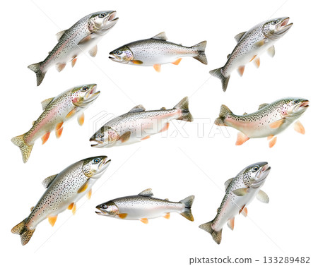 Set of trout fish with spotted scales, fins and open mouth isolated on white transparent background 133289482