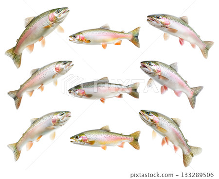 Set of colorful rainbow trout fish with spotted scales, fins and open mouth isolated on white transparent background 133289506