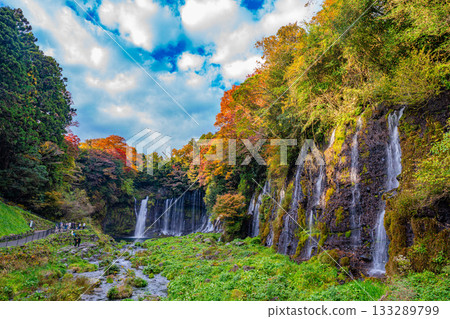 【靜岡縣】白絲瀑布與秋葉 【靜岡縣】白絲瀑布與秋葉 133289799