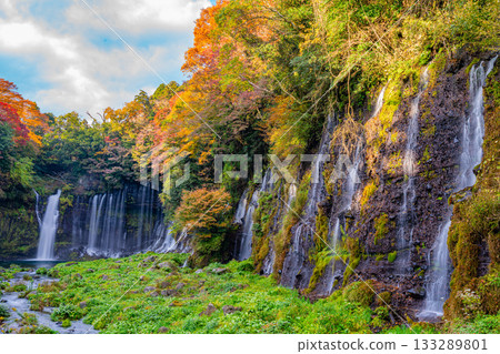 [Shizuoka Prefecture] Shiraito Falls and Autumn Foliage 133289801