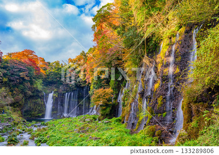 [Shizuoka Prefecture] Shiraito Falls and Autumn Foliage 133289806
