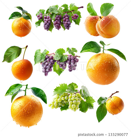 Set of apricot, grapefruit and red grapes hanging on the vine with green leaves isolated on white transparent background 133290077