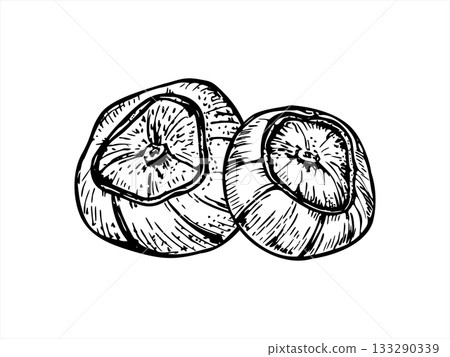 Two hazelnut pods in shell monochrome vector illustration painted by black inks. Etching drawing of hazel. Raw food ingredients for packaging, culinary recipe, product design Two hazelnut pods in shell monochrome vector illustration painted by black inks. Etching drawing of hazel. Raw food ingredients for packaging, culinary recipe, product design 133290339