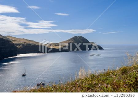 Morning at Ponta de Sao Lourenco with wildflowers above calm Atlantic bay with sailboats 133290386