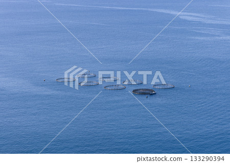 Offshore mussel farm with floating round cages on blue calm water in minimal seascape 133290394