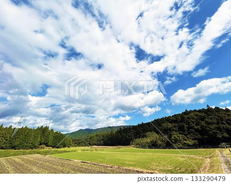A peaceful rural landscape with a blue sky and white clouds 133290479