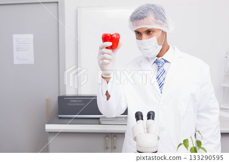 Male laboratory technician wearing safety gear examining red bell pepper under microscope in lab Male laboratory technician wearing safety gear examining red bell pepper under microscope in lab 133290595