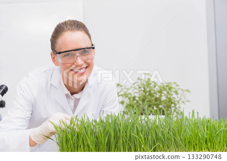 Female scientist inspecting seedlings with microscope at lab bench wearing goggles and gloves 133290748