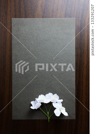 櫻花和黑紙 133291207