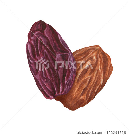 Red and golden raisins watercolor illustration on isolated background. Raw organic dried dark grapes. Delicious dehydrated berry composition for bakery, snack package, Xmas drink decoration 133291218