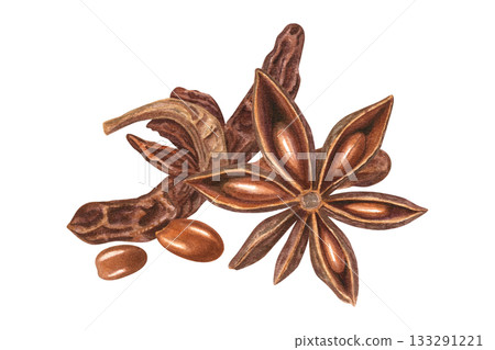 Star Anise with seeds in pods watercolor illustration on isolated background. Aromatic dried badian fruit seasoning for Asian recipes, baking decor, cooking book or Christmas and New Year drinks 133291221