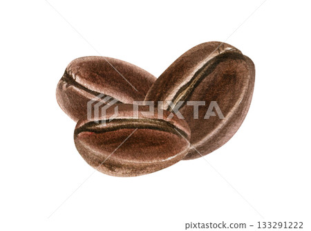 Three roasted coffee beans watercolor illustration on isolated background. Aromatic brown plant seed pile. Organic healthy ingredient for coffee product promotion, morning hot drink decor. 133291222