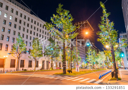 大阪府禦堂筋燈光秀 2025 大阪府禦堂筋燈光秀 2025 133291851