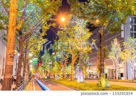 Osaka Prefecture Midosuji Illuminations 2025 Osaka Prefecture Midosuji Illuminations 2025 133291854