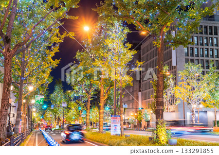 Osaka Prefecture Midosuji Illuminations 2025 133291855