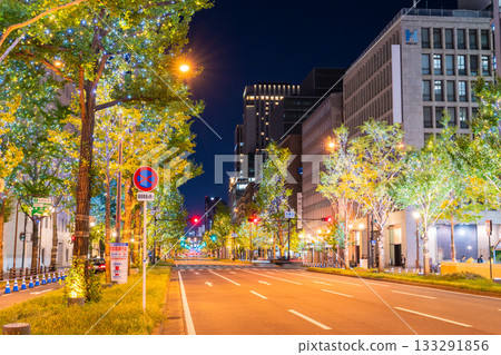 大阪府禦堂筋燈光秀 2025 133291856