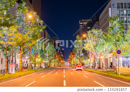 Osaka Prefecture Midosuji Illuminations 2025 Osaka Prefecture Midosuji Illuminations 2025 133291857