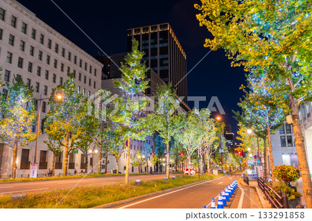 大阪府禦堂筋燈光秀 2025 133291858