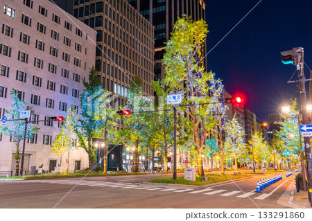 大阪府禦堂筋燈光秀 2025 133291860