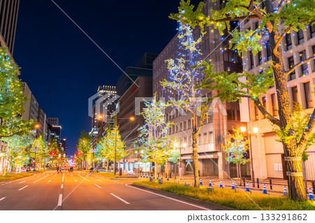 Osaka Prefecture Midosuji Illuminations 2025 133291862