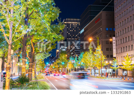 Osaka Prefecture Midosuji Illuminations 2025 133291863