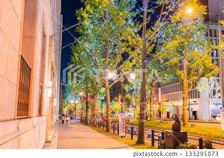 大阪府禦堂筋燈光秀 2025 133291873