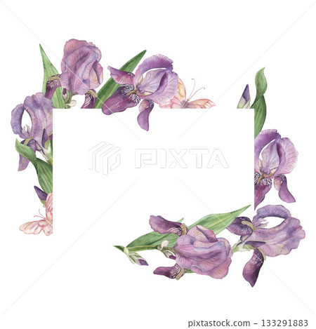 Watercolor floral frame with delicate purple iris flowers, green leaves, soft butterflies. Elegant botanical border for invitations, greeting cards, wedding designs, spring decor and natural artwork 133291883