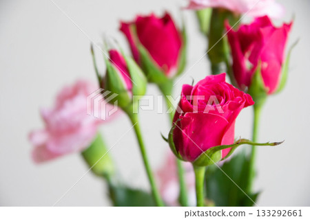 Roses and carnations Roses and carnations 133292661