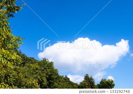 A simple landscape of blue sky, clouds, greenery and birds A simple landscape of blue sky, clouds, greenery and birds 133292748