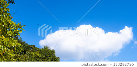 A simple landscape of blue sky, clouds, greenery and birds 133292750