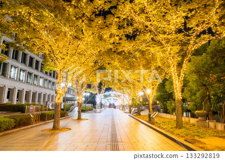 大阪府中之島燈光街 133292819