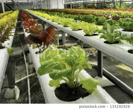 Hyper-detailed image showcasing the technology of hydroponic vertical farming Hyper-detailed image showcasing the technology of hydroponic vertical farming 133292928